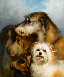 Um Wolfhound e Companheiros Esportivos, 1863
